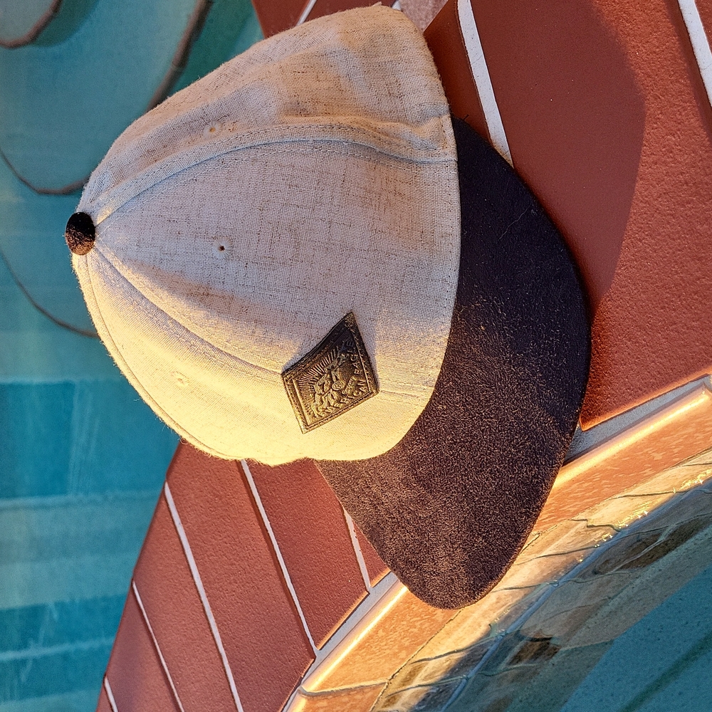 American Eagle Baseball Cap